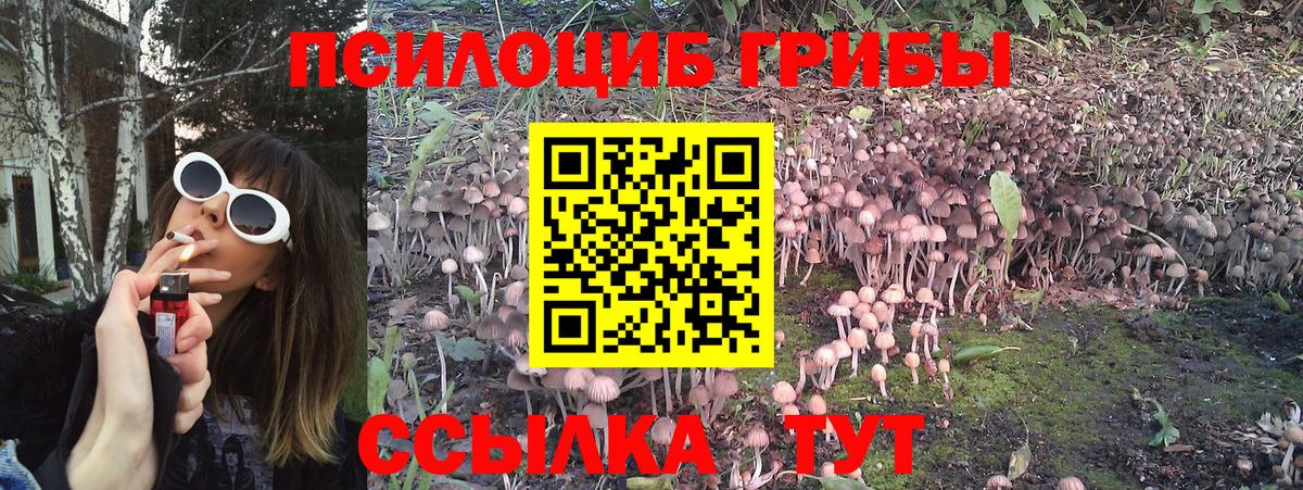Альфа ПВП Королёв