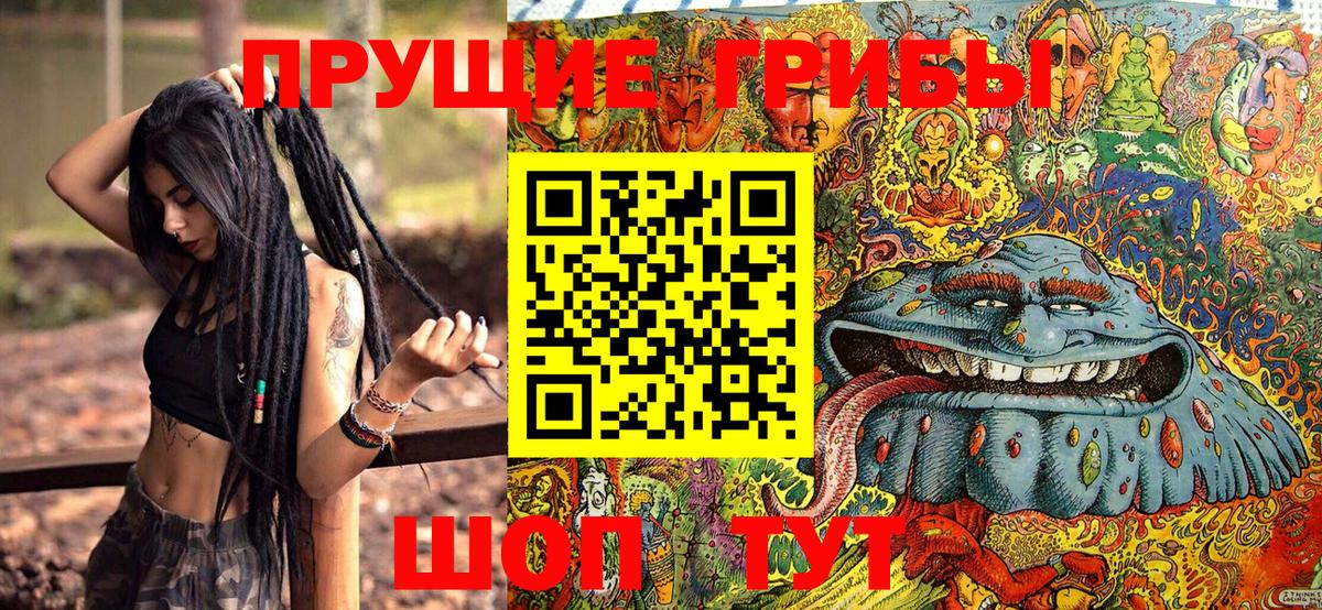 Псилоцибиновые грибы прущие грибы Королёв